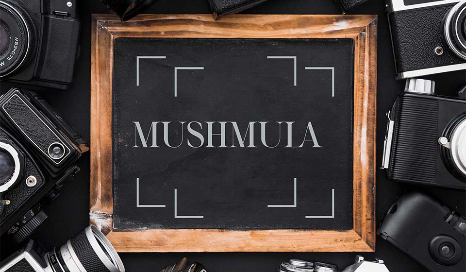 Mushmula, znak i logotip, rad polaznika Sabina Teparić